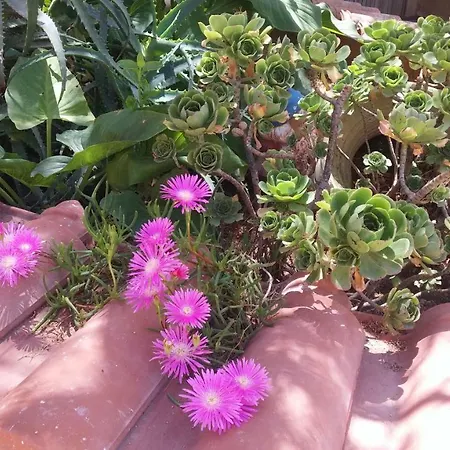 בית נופש Casa Josephine בלסטראטה